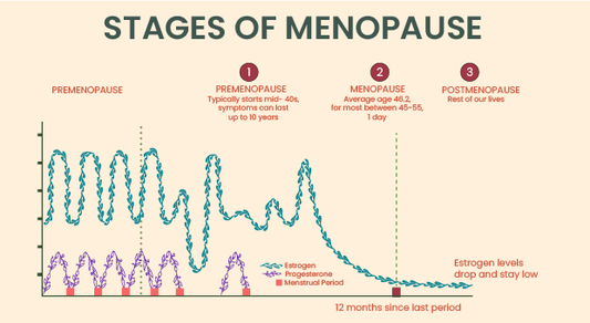 Menopause - Explained